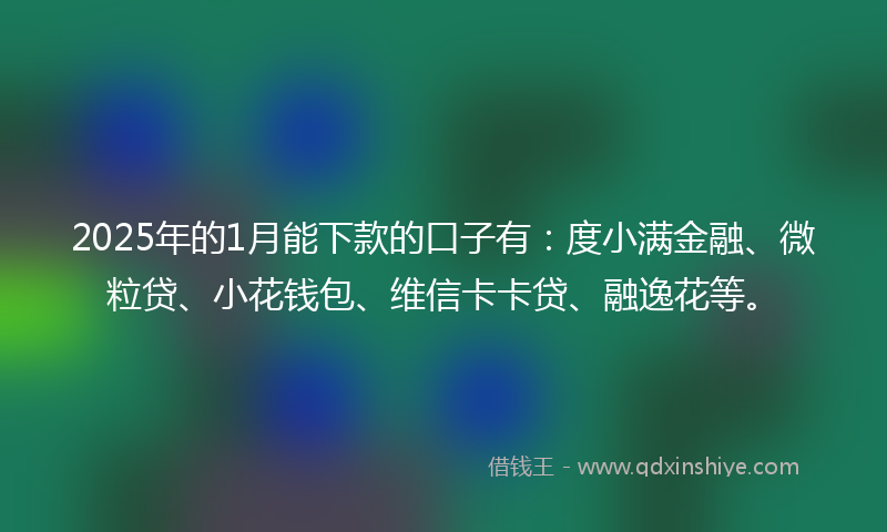 2025年的1月能下款的口子有：度小满金融、微粒贷、小花钱包、维信卡卡贷、融逸花等。
