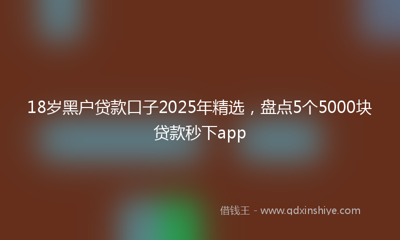 18岁黑户贷款口子2025年精选，盘点5个5000块贷款秒下app
