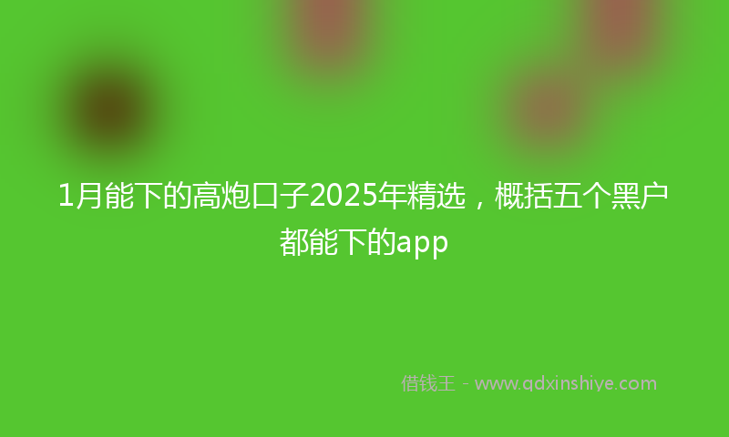 1月能下的高炮口子2025年精选，概括五个黑户都能下的app