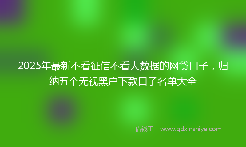 2025年最新不看征信不看大数据的网贷口子，归纳五个无视黑户下款口子名单大全