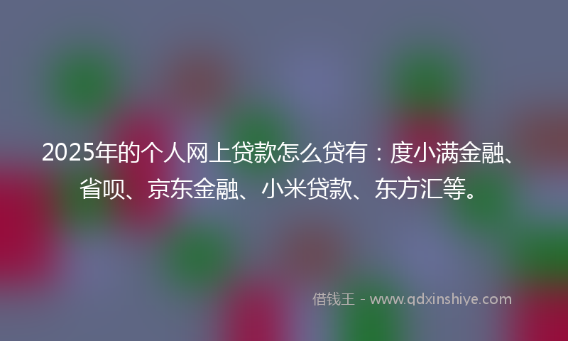 2025年的个人网上贷款怎么贷有：度小满金融、省呗、京东金融、小米贷款、东方汇等。