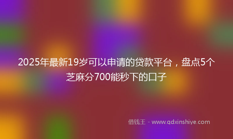 2025年最新19岁可以申请的贷款平台，盘点5个芝麻分700能秒下的口子