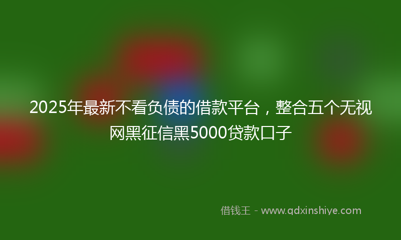 2025年最新不看负债的借款平台，整合五个无视网黑征信黑5000贷款口子