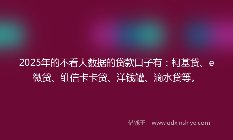 2025年的不看大数据的贷款口子有：柯基贷、e微贷、维信卡卡贷、洋钱罐、滴水贷等。