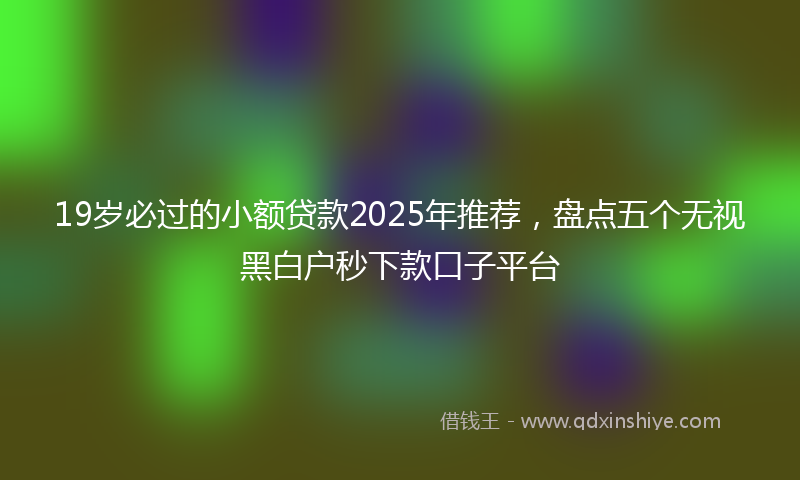 19岁必过的小额贷款2025年推荐，盘点五个无视黑白户秒下款口子平台