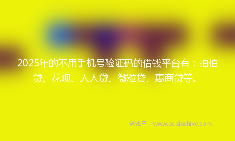 2025年的不用手机号验证码的借钱平台有：拍拍贷、花呗、人人贷、微粒贷、惠商贷等。
