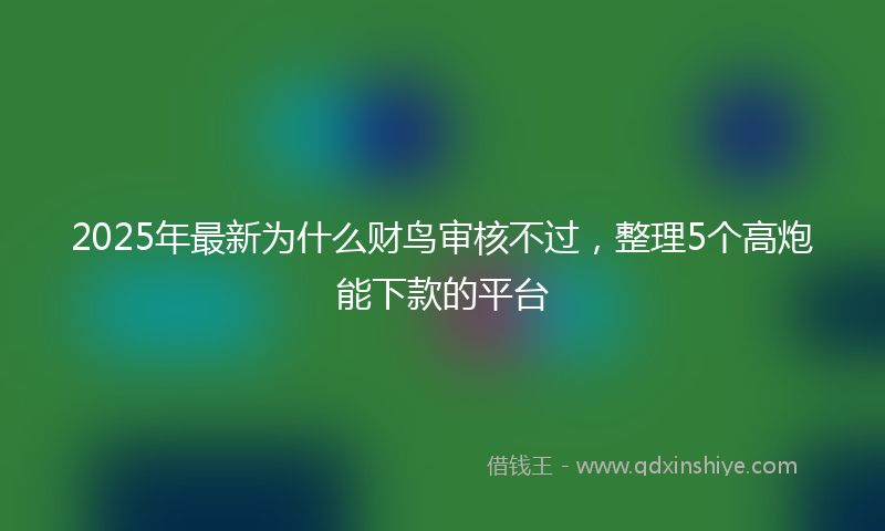 2025年最新为什么财鸟审核不过，整理5个高炮能下款的平台