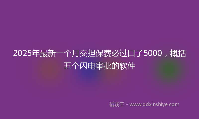 2025年最新一个月交担保费必过口子5000，概括五个闪电审批的软件