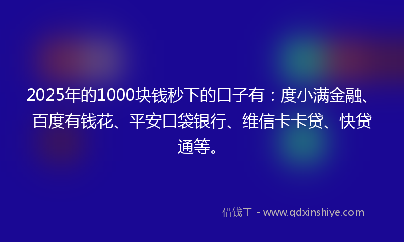 2025年的1000块钱秒下的口子有：度小满金融、百度有钱花、平安口袋银行、维信卡卡贷、快贷通等。