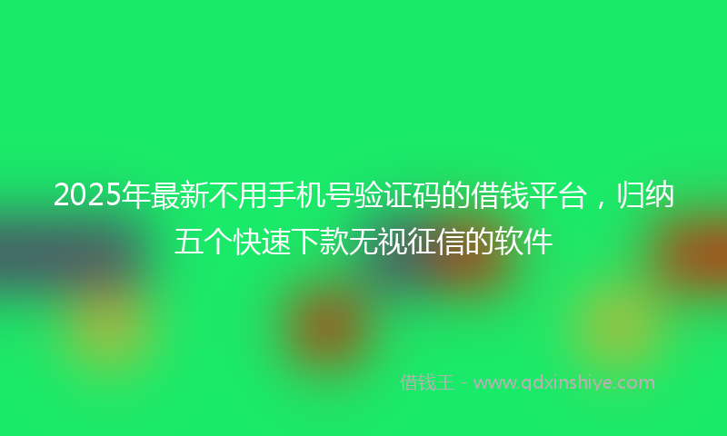 2025年最新不用手机号验证码的借钱平台，归纳五个快速下款无视征信的软件