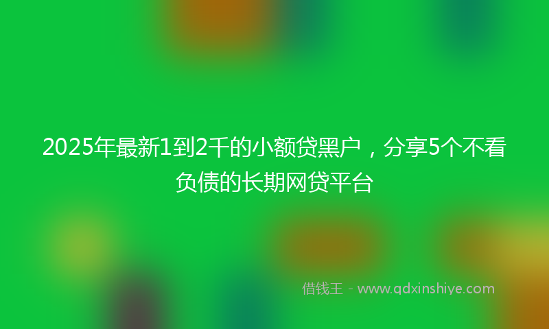 2025年最新1到2千的小额贷黑户，分享5个不看负债的长期网贷平台