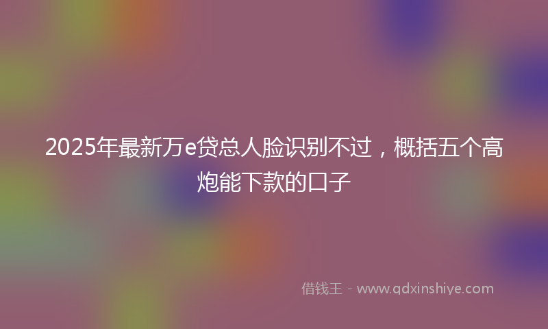 2025年最新万e贷总人脸识别不过，概括五个高炮能下款的口子