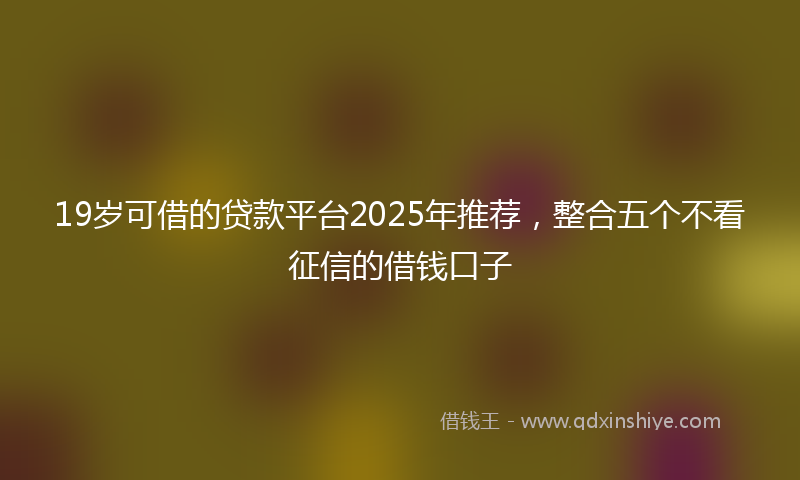 19岁可借的贷款平台2025年推荐，整合五个不看征信的借钱口子