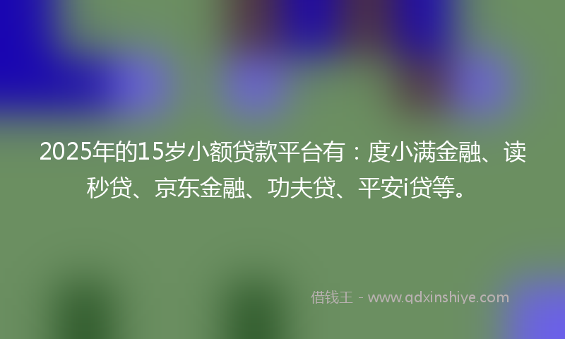 2025年的15岁小额贷款平台有：度小满金融、读秒贷、京东金融、功夫贷、平安i贷等。