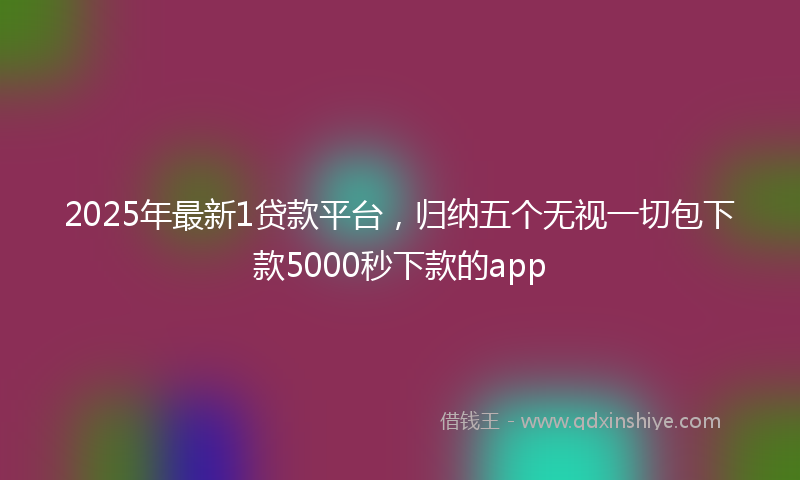 2025年最新1贷款平台，归纳五个无视一切包下款5000秒下款的app