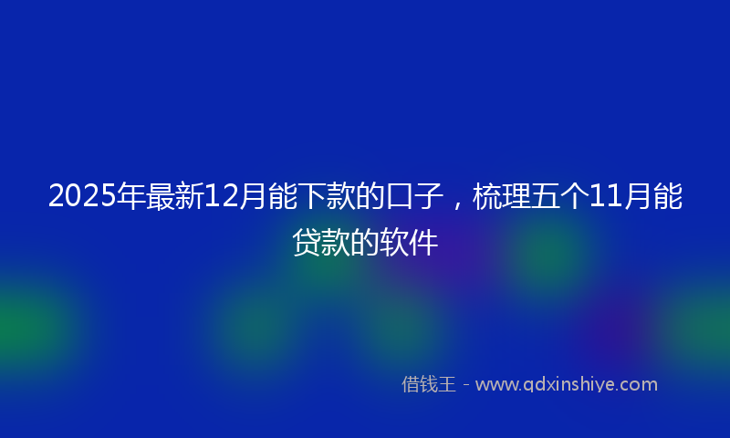 2025年最新12月能下款的口子，梳理五个11月能贷款的软件