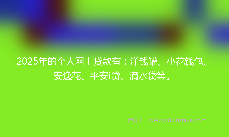 2025年的个人网上贷款有：洋钱罐、小花钱包、安逸花、平安i贷、滴水贷等。