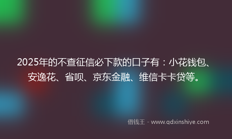 2025年的不查征信必下款的口子有：小花钱包、安逸花、省呗、京东金融、维信卡卡贷等。