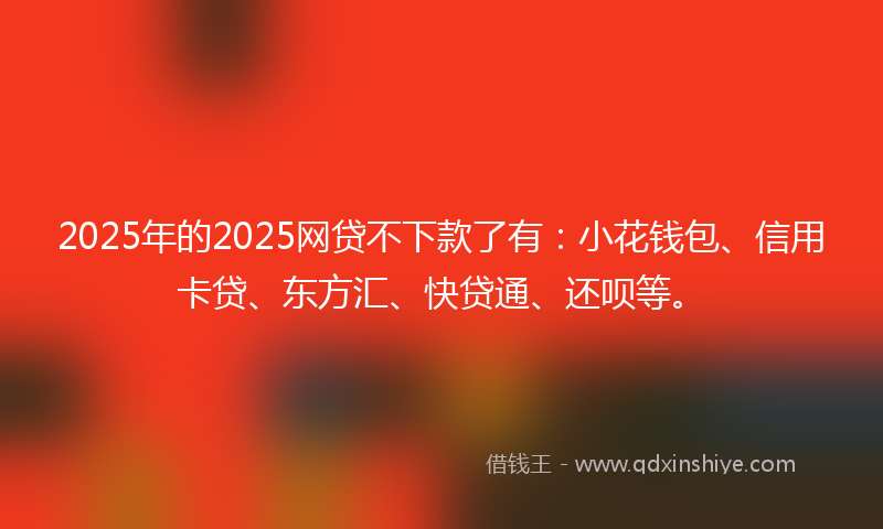 2025年的2025网贷不下款了有：小花钱包、信用卡贷、东方汇、快贷通、还呗等。