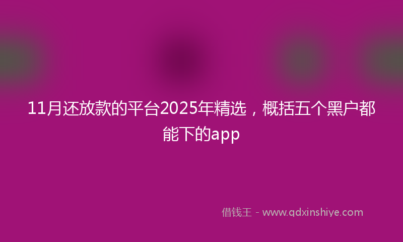 11月还放款的平台2025年精选，概括五个黑户都能下的app