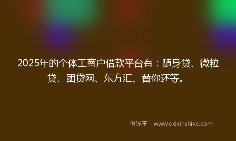 2025年的个体工商户借款平台有：随身贷、微粒贷、团贷网、东方汇、替你还等。