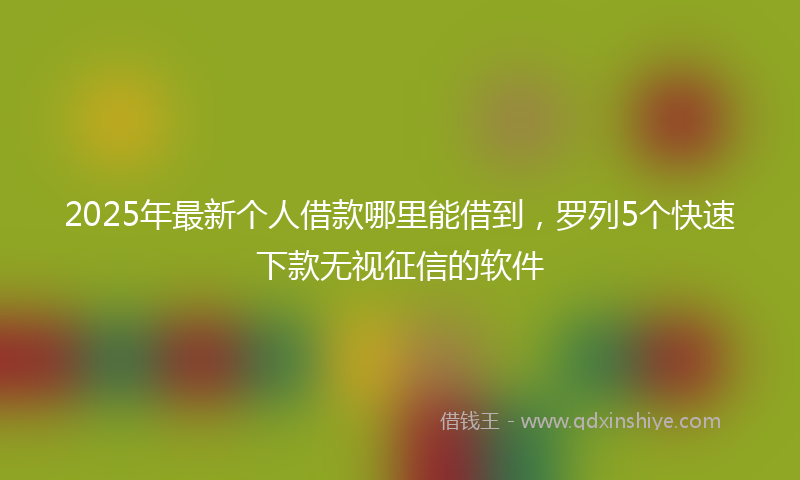 2025年最新个人借款哪里能借到，罗列5个快速下款无视征信的软件
