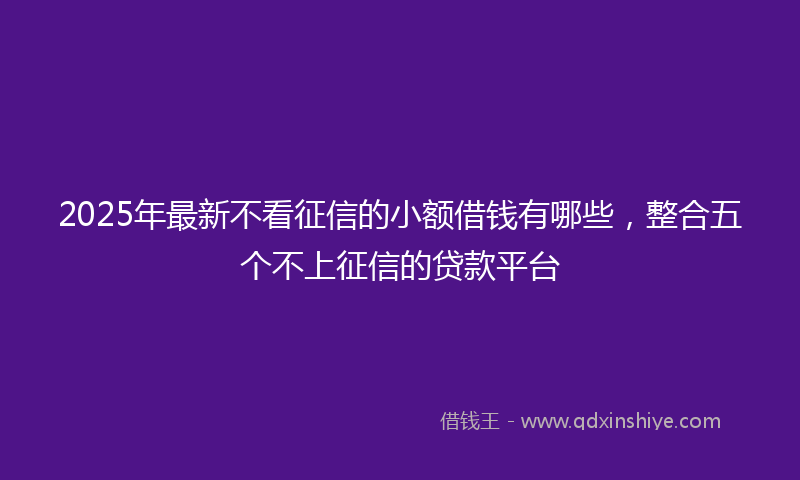 2025年最新不看征信的小额借钱有哪些，整合五个不上征信的贷款平台