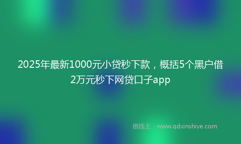 2025年最新1000元小贷秒下款，概括5个黑户借2万元秒下网贷口子app