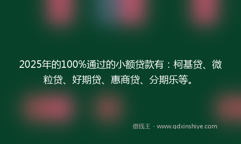 2025年的100%通过的小额贷款有：柯基贷、微粒贷、好期贷、惠商贷、分期乐等。