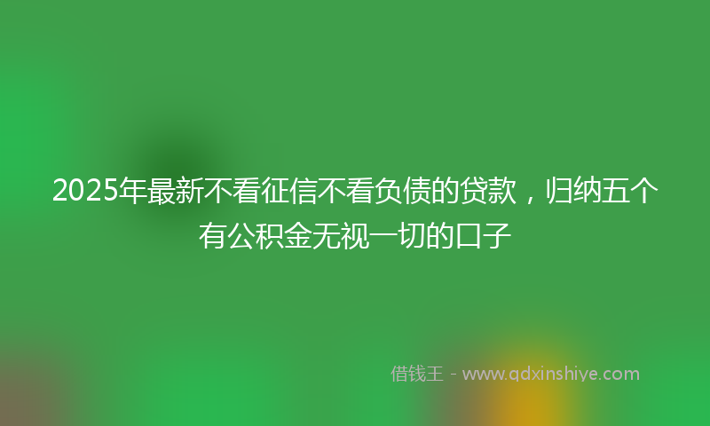 2025年最新不看征信不看负债的贷款，归纳五个有公积金无视一切的口子