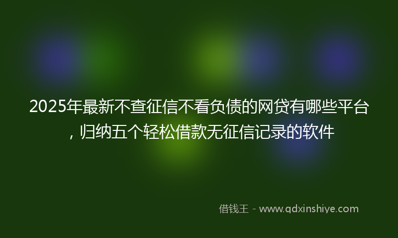 2025年最新不查征信不看负债的网贷有哪些平台，归纳五个轻松借款无征信记录的软件