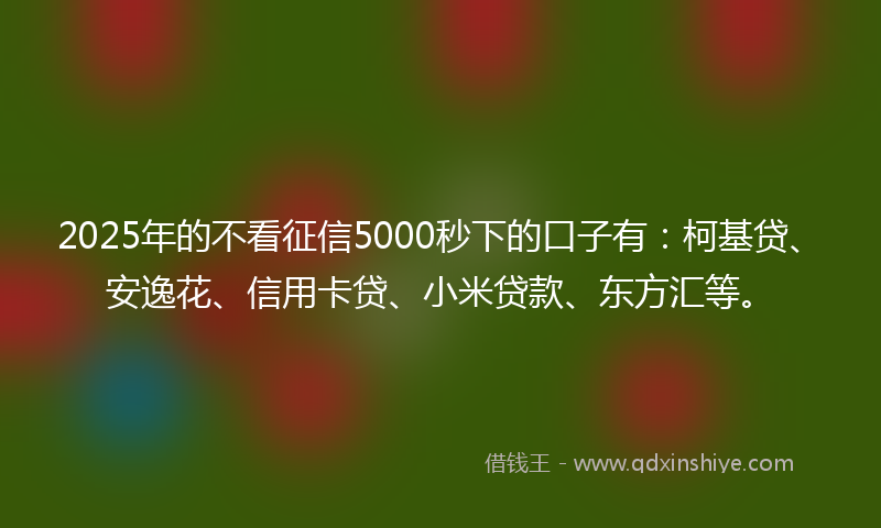 2025年的不看征信5000秒下的口子有：柯基贷、安逸花、信用卡贷、小米贷款、东方汇等。
