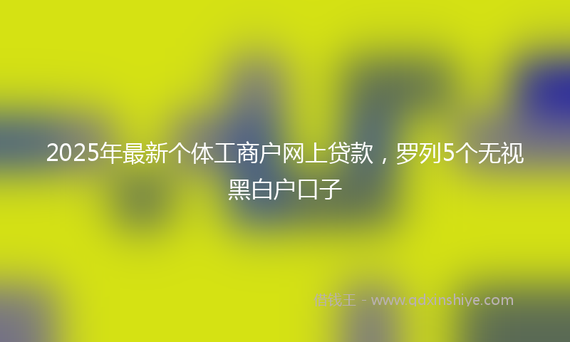 2025年最新个体工商户网上贷款，罗列5个无视黑白户口子