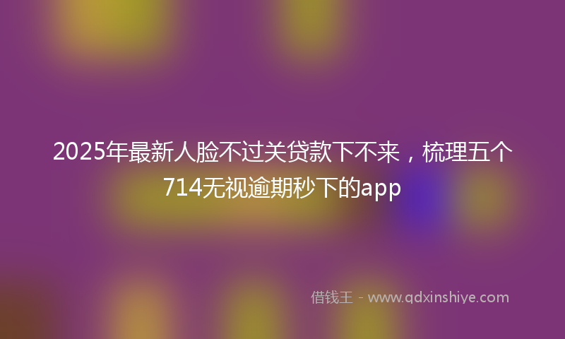 2025年最新人脸不过关贷款下不来，梳理五个714无视逾期秒下的app