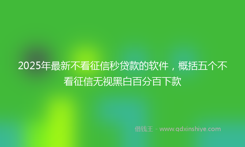 2025年最新不看征信秒贷款的软件，概括五个不看征信无视黑白百分百下款