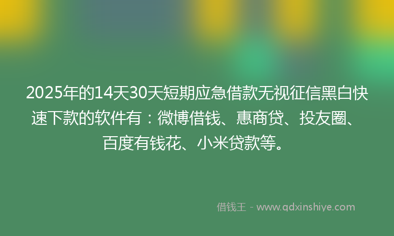 2025年的14天30天短期应急借款无视征信黑白快速下款的软件有：微博借钱、惠商贷、投友圈、百度有钱花、小米贷款等。