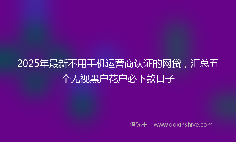 2025年最新不用手机运营商认证的网贷，汇总五个无视黑户花户必下款口子