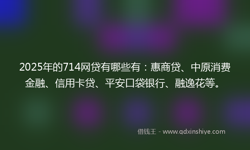 2025年的714网贷有哪些有：惠商贷、中原消费金融、信用卡贷、平安口袋银行、融逸花等。
