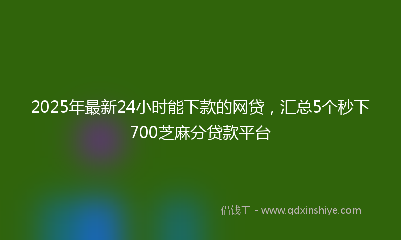 2025年最新24小时能下款的网贷，汇总5个秒下700芝麻分贷款平台