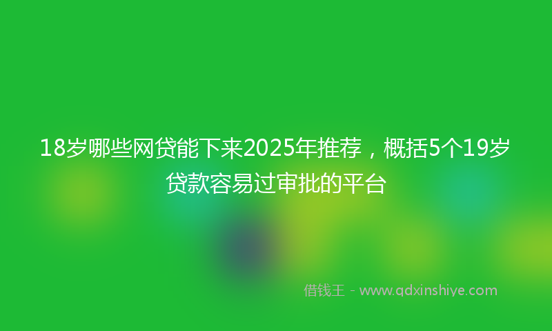 18岁哪些网贷能下来2025年推荐，概括5个19岁贷款容易过审批的平台