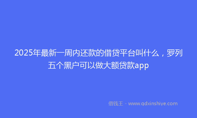 2025年最新一周内还款的借贷平台叫什么，罗列五个黑户可以做大额贷款app
