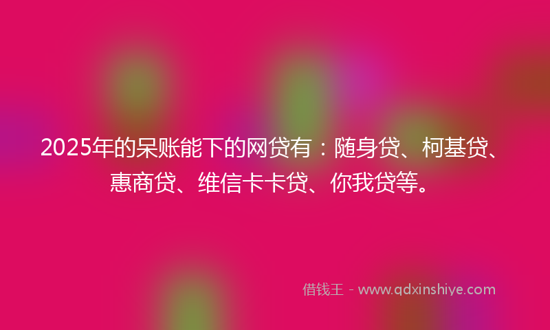 2025年的呆账能下的网贷有：随身贷、柯基贷、惠商贷、维信卡卡贷、你我贷等。