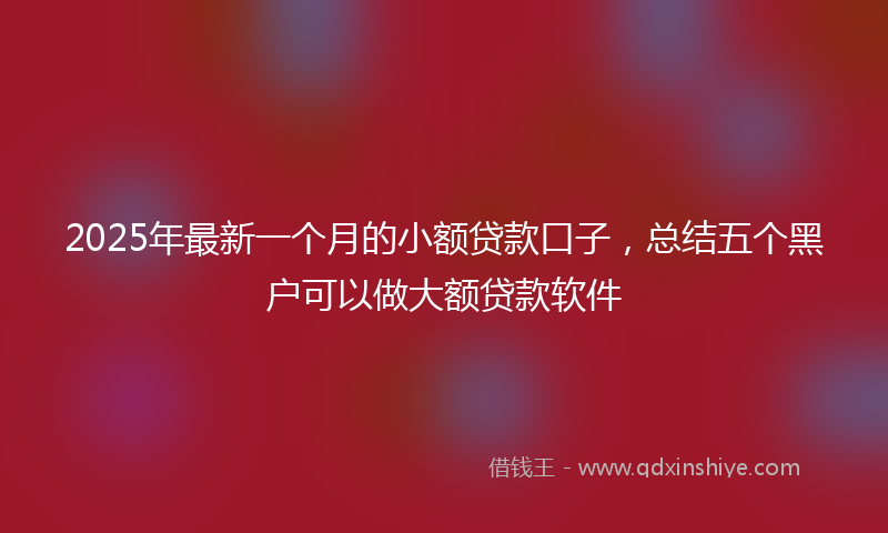 2025年最新一个月的小额贷款口子，总结五个黑户可以做大额贷款软件