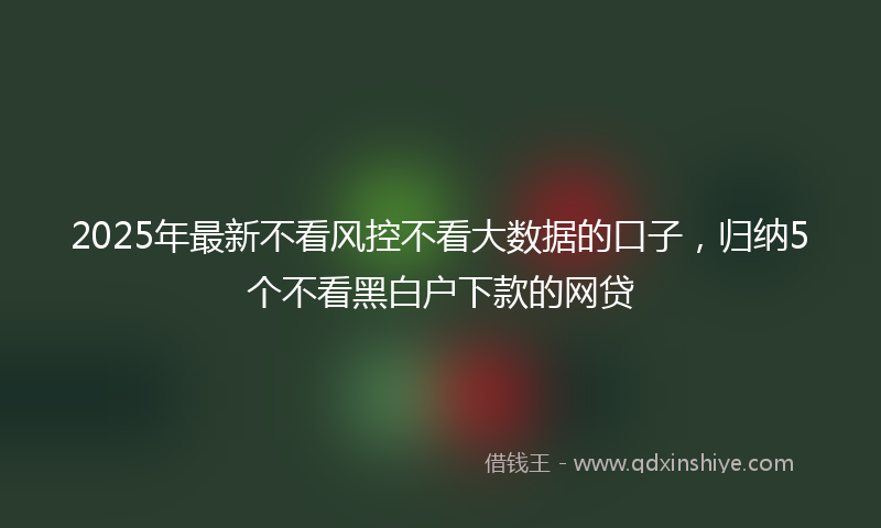 2025年最新不看风控不看大数据的口子，归纳5个不看黑白户下款的网贷