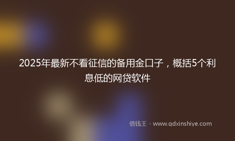 2025年最新不看征信的备用金口子，概括5个利息低的网贷软件