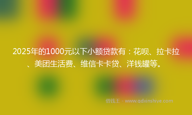 2025年的1000元以下小额贷款有：花呗、拉卡拉、美团生活费、维信卡卡贷、洋钱罐等。