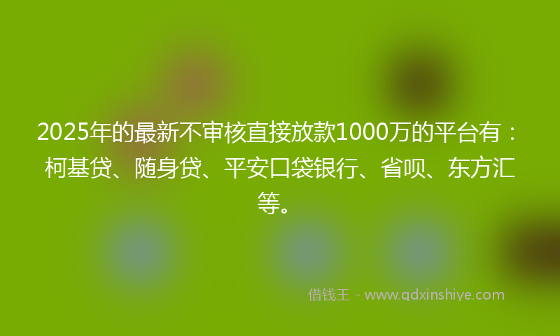 2025年的最新不审核直接放款1000万的平台有：柯基贷、随身贷、平安口袋银行、省呗、东方汇等。