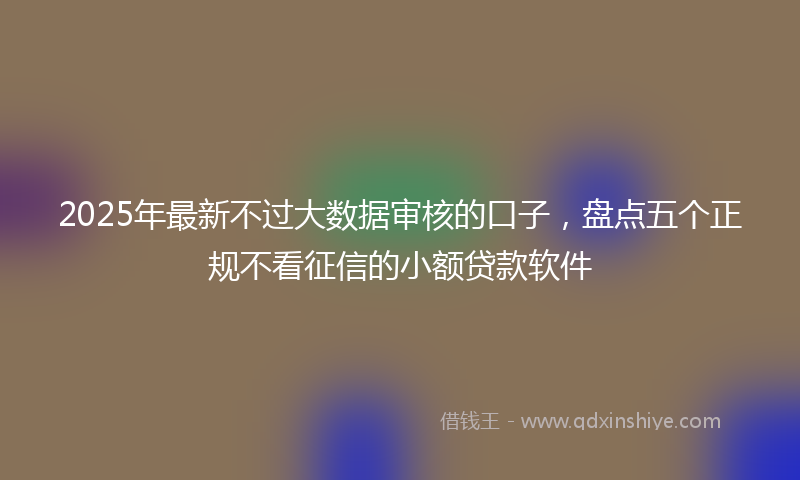 2025年最新不过大数据审核的口子，盘点五个正规不看征信的小额贷款软件