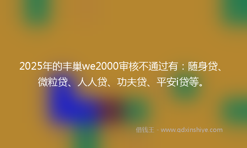 2025年的丰巢we2000审核不通过有：随身贷、微粒贷、人人贷、功夫贷、平安i贷等。