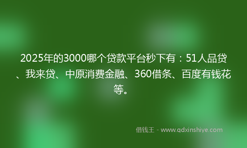2025年的3000哪个贷款平台秒下有：51人品贷、我来贷、中原消费金融、360借条、百度有钱花等。